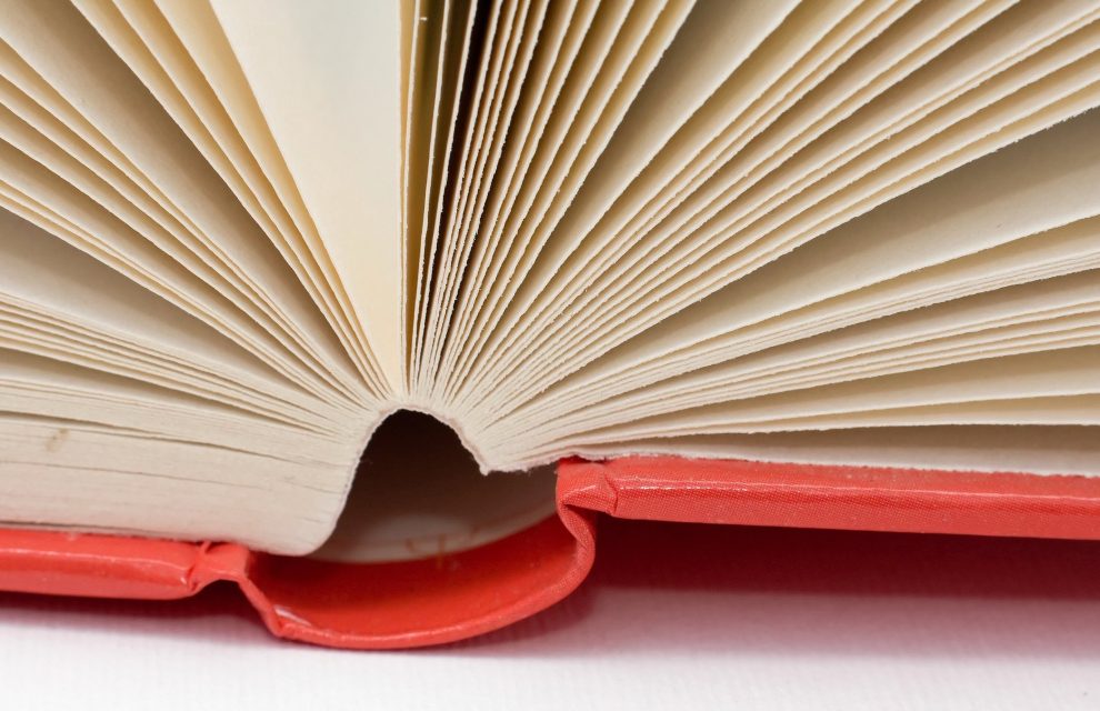 A U.Porto Press volta aos livros com imagem renovada