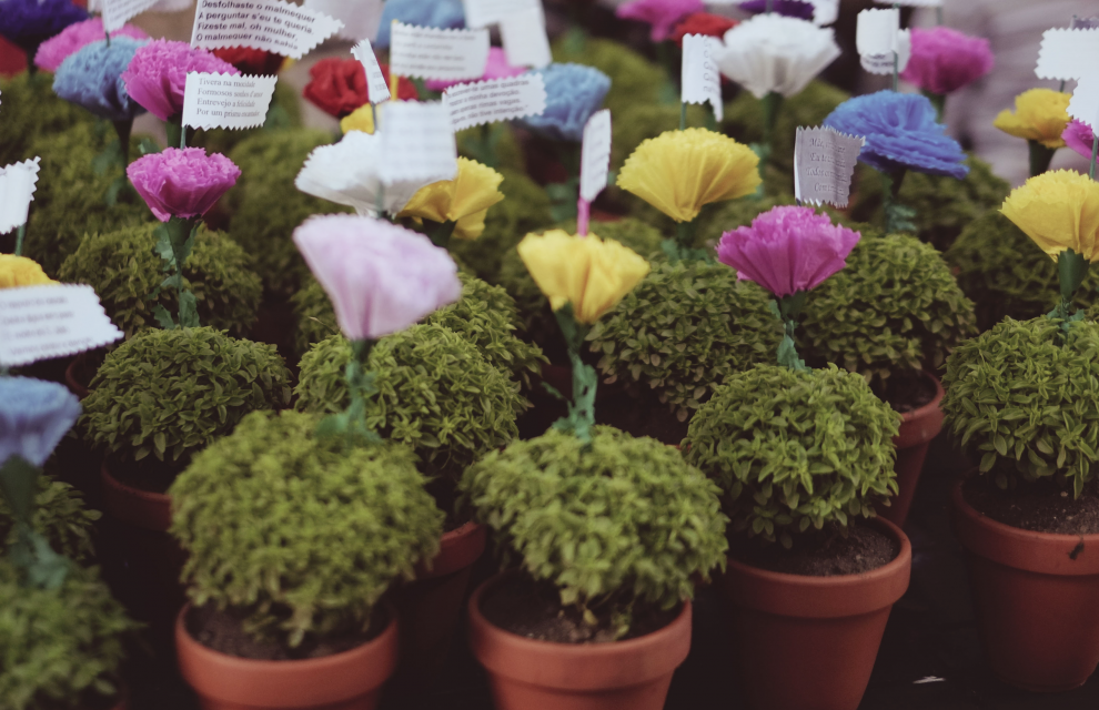 Um S. João a rimar valeu livros a dobrar
