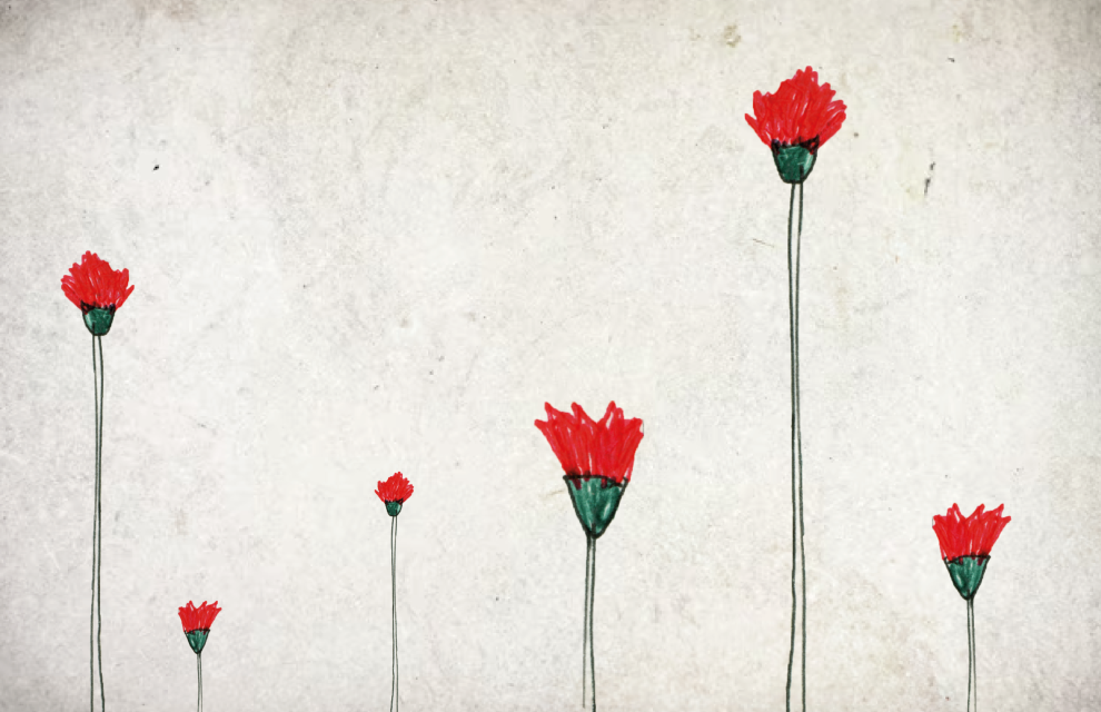 Nova publicação da U.Porto Press celebra os 50 anos do 25 de Abril